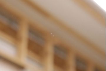 北海道民芸家具のワードローブをリペア&カスタム!ネクタイハンガーを取り外し、可動式の棚板を設置。靴棚にリメイク。(キャビネット、下駄箱)