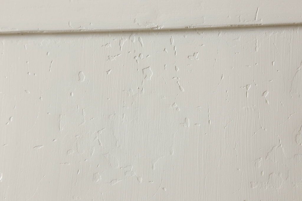 フランスアンティークの木製ドアをリペア&カスタム!高さと幅をリサイズし、鍵金具を取り外して埋木。アンティークのホワイトにペイント仕上げ。(扉、建具)