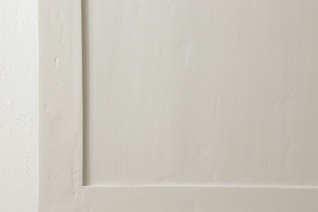 フランスアンティークの木製ドアをリペア&カスタム!高さと幅をリサイズし、鍵金具を取り外して埋木。アンティークのホワイトにペイント仕上げ。(扉、建具)