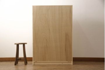 パタパタ扉のマス目棚を新規製作!上段は3×3のマス目に、下段は大容量の引き出しを設置。(収納棚、キャビネット、引き出し、戸棚、ロッカー)