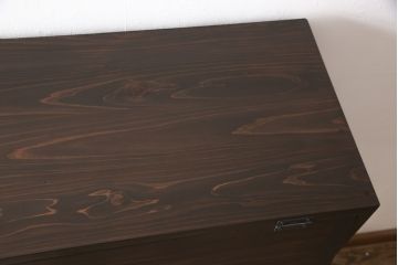 パタパタ扉の収納棚を新規製作!(戸棚、キャビネット、ロッカー、下駄箱)