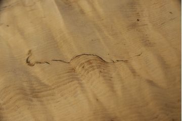 テーブルの脚を取り替えてリメイク!高品質リペアを施し、既存の脚を鉄脚に交換。側面の突起はカットして、天板は塗装を剥離。