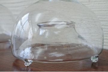 アンティーク雑貨　未使用品　古いガラスのハエ取り2個セット1
