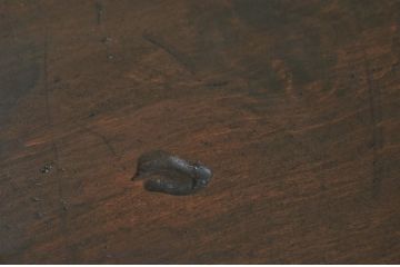 アンティーク家具　古い木のモールガラスアンティークローボード