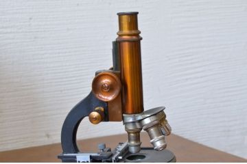 ○W&H SEIBERT WETZLAR顕微鏡