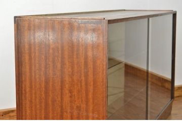 アンティーク家具　ミッドセンチュリー モダンなローボード収納棚?(ショーケース、飾り棚)