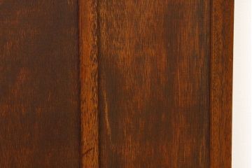 モールとダイヤガラス入りの幅のせまいドア?(扉・ガラス戸建具)