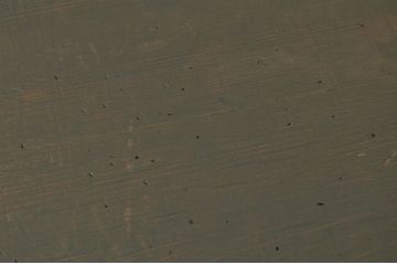 アンティーク家具　古民具　骨董　古い裁ち板2(脚に載せるタイプ)