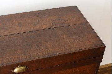 アンティーク家具　イギリスアンティーク　オーク材のリメイクレコードケース(収納棚・本棚)