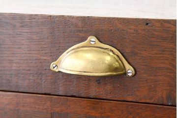 アンティーク家具　イギリスアンティーク　オーク材のリメイクレコードケース(収納棚・本棚)