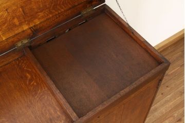 アンティーク家具　イギリスアンティーク　オーク材のリメイクレコードケース(収納棚・本棚)