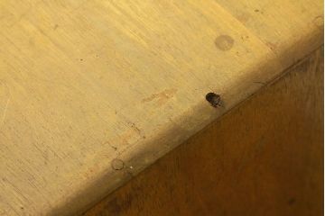 レトロ家具　アンティーク　古い木のレトロな5杯小引き出し