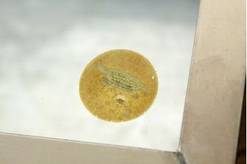 レトロ家具　昭和レトロ　状態の良いブリキガラスケース2個セット(3)(ショーケース)