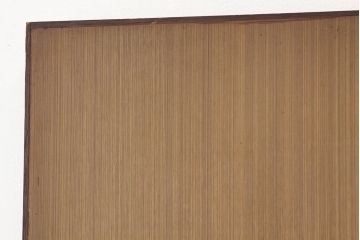 昭和レトロ　古いアパートのドア(2)(扉)