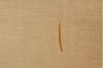 昭和レトロ　古いアパートのドア(2)(扉)