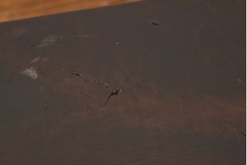 アンティーク家具　古民具・骨董　天板一枚板!裁ち板(テーブル・作業台)