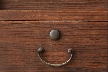 アンティーク家具　アンティーク　古い木のモールガラス鉄脚ローボード(収納棚)