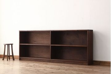 アンティーク家具　アンティーク　古い学校の大きな飾り棚?(陳列棚・本棚)