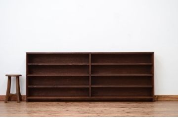 アンティーク家具　アンティーク　古い学校の薄型飾り棚?(陳列棚)