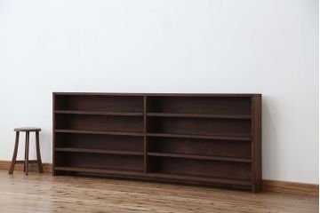 アンティーク家具　アンティーク　古い学校の薄型飾り棚?(陳列棚)