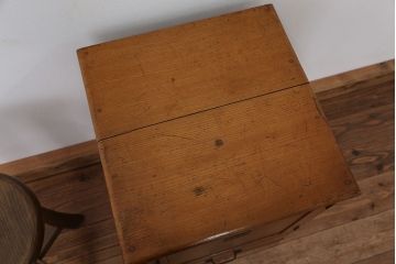 アンティーク家具　アンティーク　恒湿槽(収納棚)
