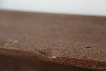 アンティーク家具　アンティーク　古い学校の脚付き本棚(5)(飾り棚・陳列棚)