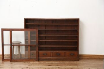 アンティーク家具　アンティーク　希少!珍しいサイズの薄型収納棚(本棚、飾り棚)