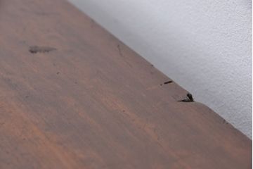 アンティーク家具　アンティーク　鉄脚付きのモールガラス収納棚(本箱)