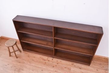 アンティーク家具　アンティーク　古い木のシンプルな薄型本棚(飾り棚、収納棚)