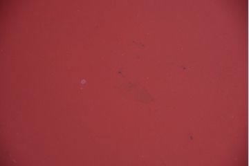 【T様ご成約済み・ご決済用】中古　イタリア製　デスクチェア(椅子・イス)