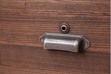 アンティーク家具　アンティーク　古い木のモールガラス扉のローボード(ローチェスト、収納棚)