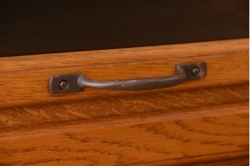 アンティーク家具　1970年頃 海外製 縦型 引き出し シャツケース(ガラスケース/ショーケース)