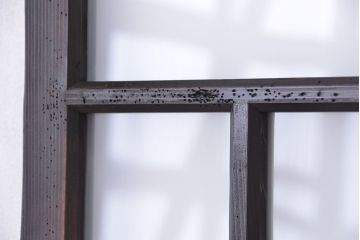 古民具・骨董　古い木の使い込まれたガラス扉(ドア)