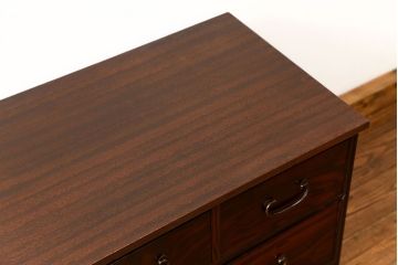 アンティーク家具　アンティーク シックでモダンな前面黒檀の脚付きローチェスト(ローボード)