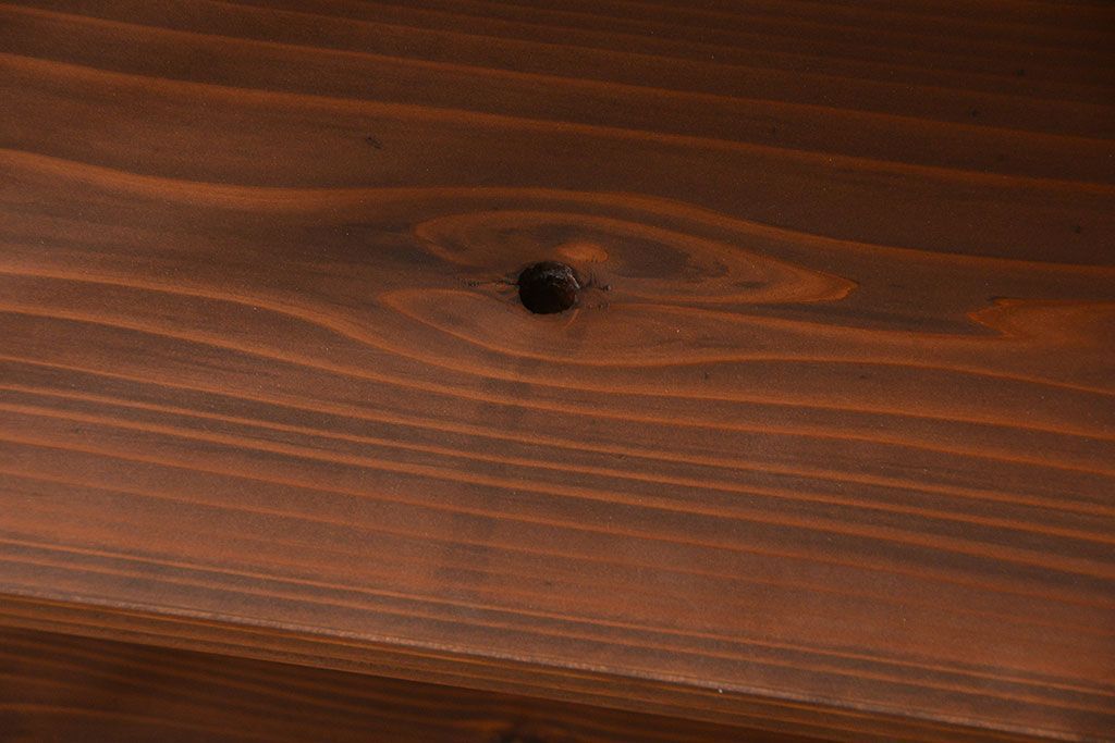 ラフジュオリジナル　アイアンの薄型飾り棚【小】(1)(陳列棚、アイアンラック)