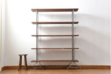 ラフジュオリジナル　アイアンの薄型飾り棚【小】(2)(陳列棚、アイアンラック)