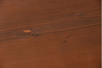 ラフジュオリジナル　アイアンの薄型飾り棚【小】(2)(陳列棚、アイアンラック)