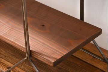 ラフジュオリジナル　アイアンの薄型飾り棚【小】(2)(陳列棚、アイアンラック)