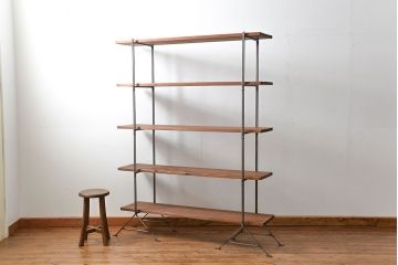 ラフジュオリジナル　アイアンの薄型飾り棚【小】(2)(陳列棚、アイアンラック)