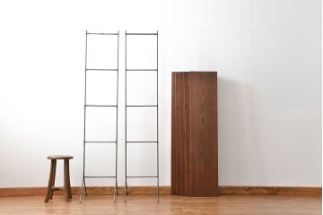 ラフジュオリジナル　アイアンの薄型飾り棚【小】(2)(陳列棚、アイアンラック)