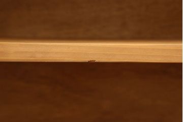 アンティーク家具　アンティーク 引き出し付き薄型脚付き収納棚(2)(キャビネット)