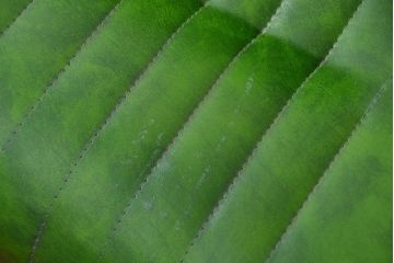 レトロ家具　昭和レトロ 極めて珍しい1960年代 ミッドセンチュリーソファ(ベンチ)