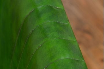 レトロ家具　昭和レトロ 極めて珍しい1960年代 ミッドセンチュリーソファ(ベンチ)