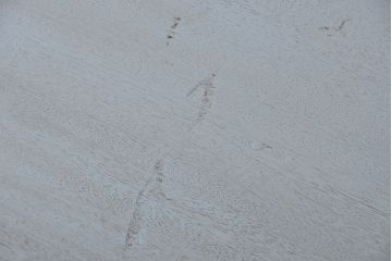 アンティーク家具　アンティークペイント ネームプレート付きの13杯引き出しチェスト(ドロワー)