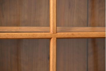 アンティーク家具 アンティーク 古い木味の繊細な薄型収納棚(ガラスケース、飾り棚、戸棚)