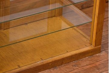レトロ家具　昭和レトロ　希少なサイズの卓上ガラスケース (ショーケース)