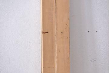 アンティーク　ペンキのはげたシンプルなガラス戸2枚セット (引き戸)