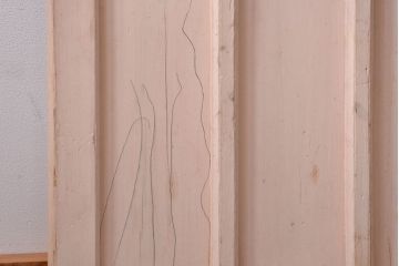 アンティーク　ペンキのはげたシンプルなガラス戸 (引き戸)