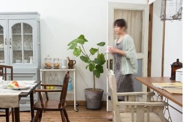 アンティークペイント　 カーテンレール付きのドア (扉)