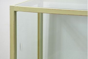 アンティーク家具　アンティークペイント!シンプルなガラスケース(ショーケース)